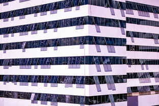 米兰体育app入口-中国篮球职业联赛青训体系建设与优化，中国青年篮球队